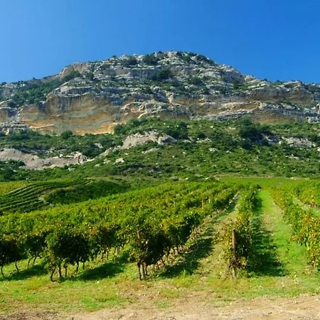 Casa-albina-corsica