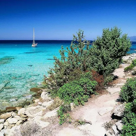 Casa-albina-corsica *