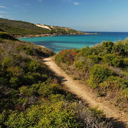 Casa-albina-corsica