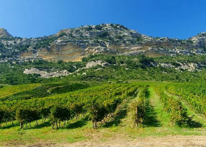 Casa-albina-corsica