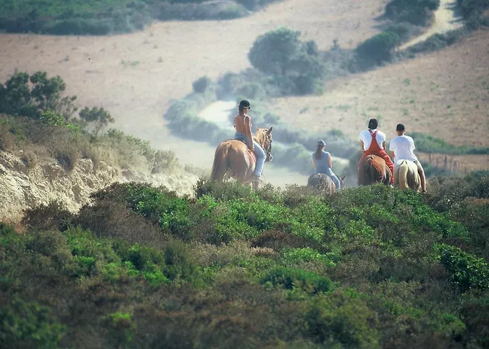 Casa-albina-corsica Holiday home Patrimonio