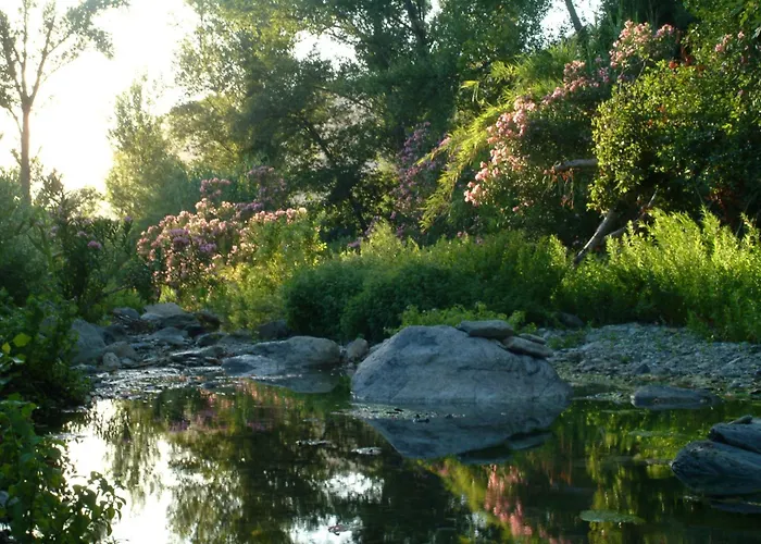 Casa-albina-corsica *