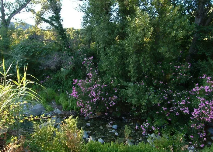 Casa-albina-corsica Patrimonio