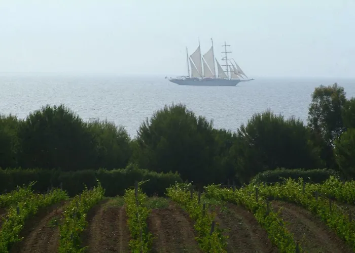 Casa-albina-corsica *