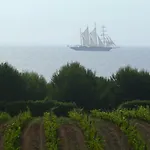 Casa-albina-corsica *