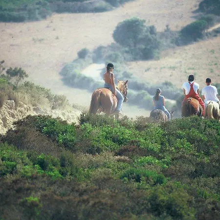 Casa-albina-corsica בית נופש פטרימוניו