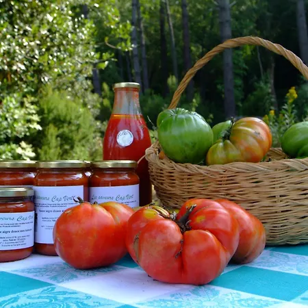 Casa-albina-corsica * Патримонио