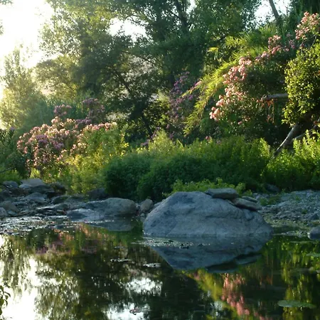 Casa-albina-corsica *