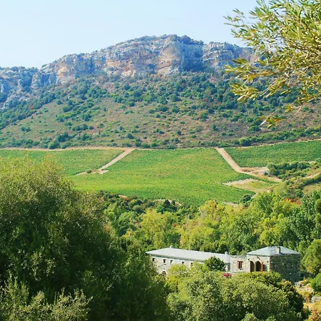 Casa-albina-corsica פטרימוניו