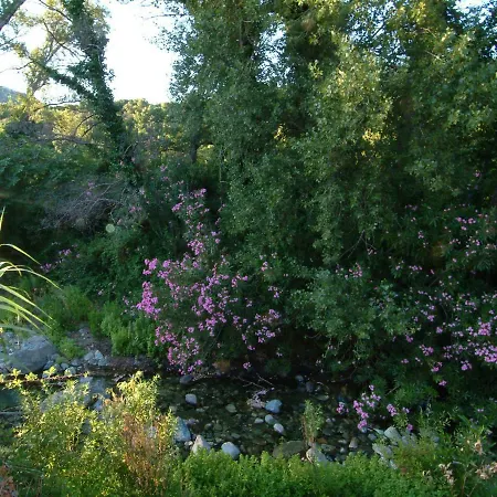 Casa-albina-corsica פטרימוניו