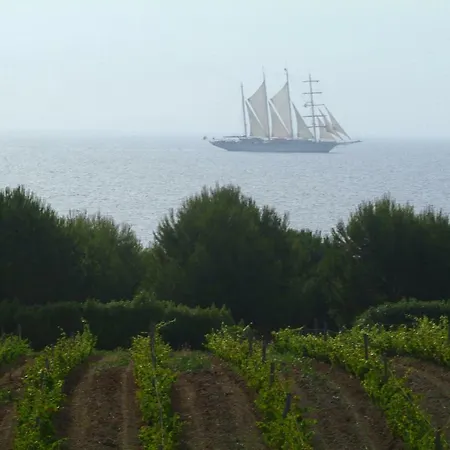 Casa-albina-corsica *