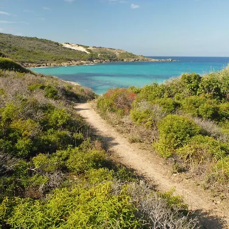 Casa-albina-corsica *