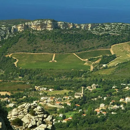 Casa-albina-corsica בית נופש פטרימוניו