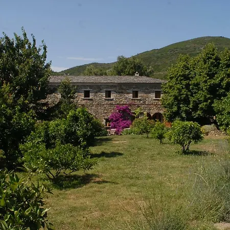 Casa-albina-corsica Patrimonio