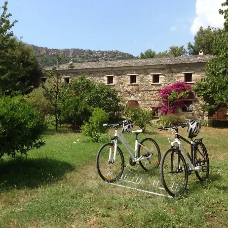 Casa-albina-corsica Patrimonio