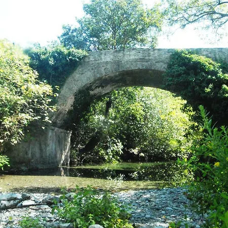 Casa-albina-corsica Ferienhaus Patrimonio