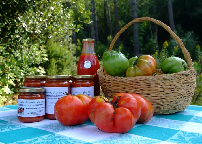 Casa-albina-corsica * Патримонио