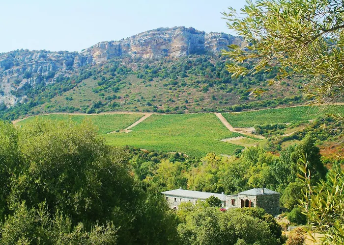 Casa-albina-corsica Патримонио