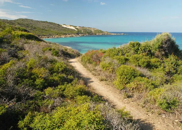 Casa-albina-corsica *