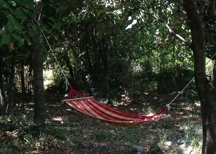 Casa-albina-corsica Tatil Evi *